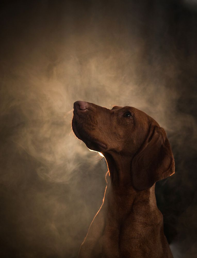 Photograph by Марина Кобелева