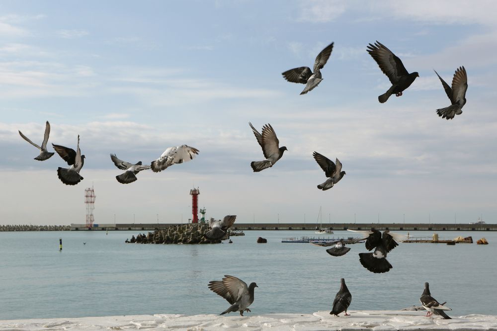 Photograph by Алик Хасанов