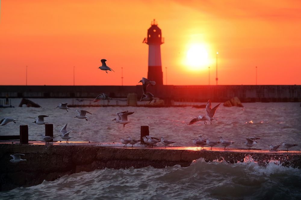 Photograph by Алик Хасанов