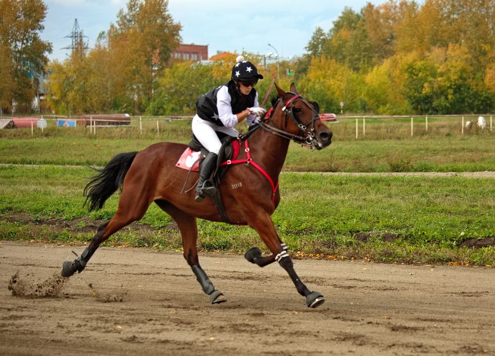 Photograph by Алексей Хазов