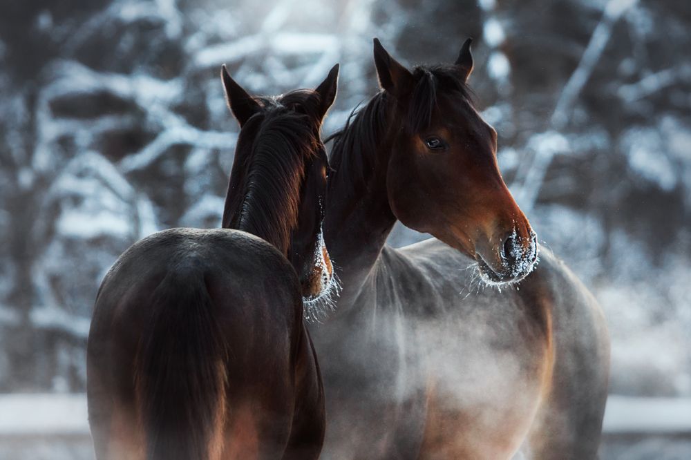 Photograph by Дарья Ералева