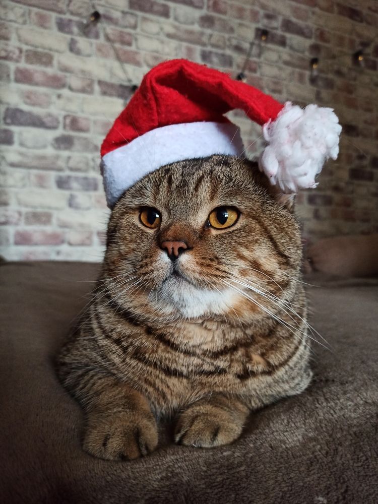 Photograph by Марина Сенгальт