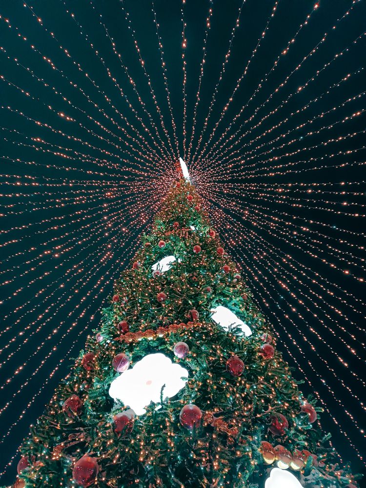 Photograph by Алиса Малая