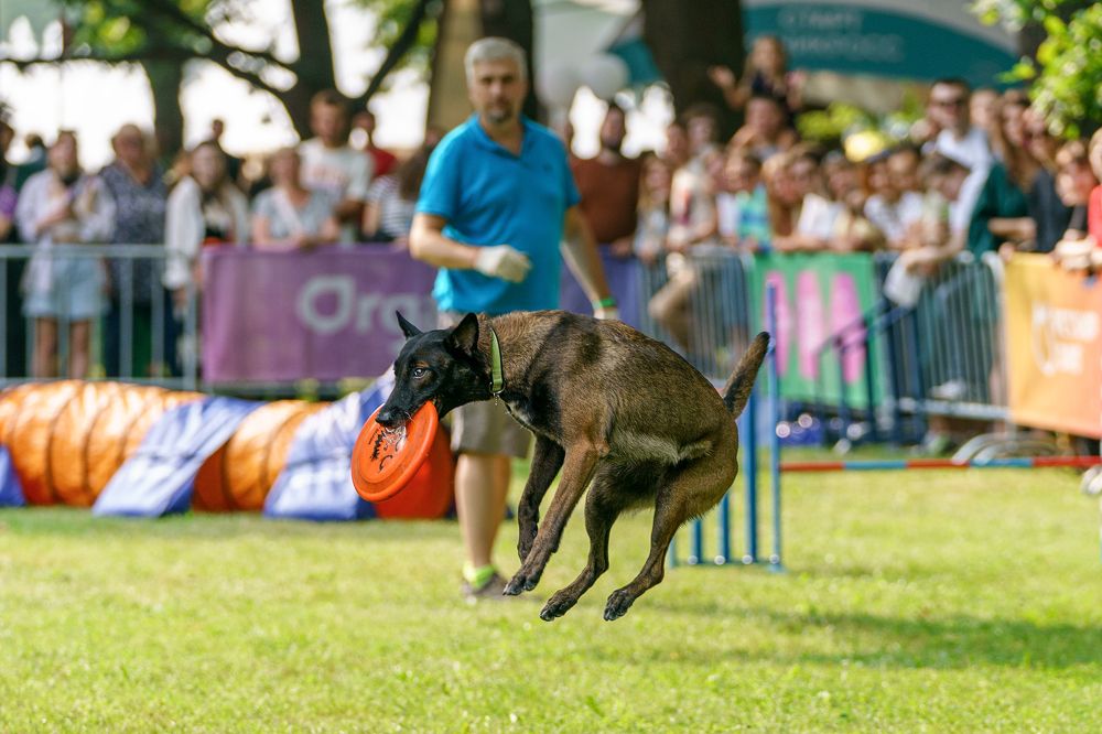 Photograph by Владимир Лиепин