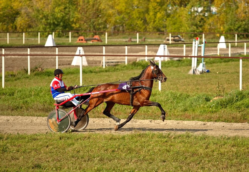 Photograph by Алексей Хазов