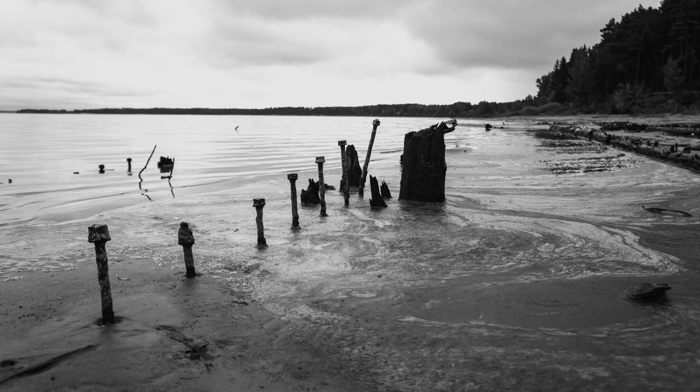 Photograph by Илья Ровинский