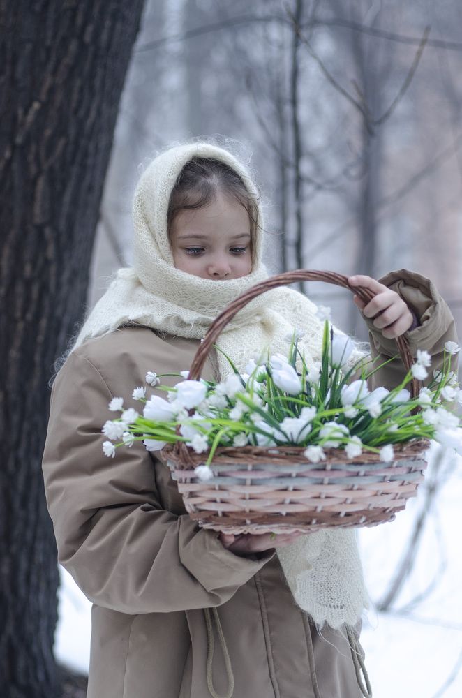 двенадцать месяцев