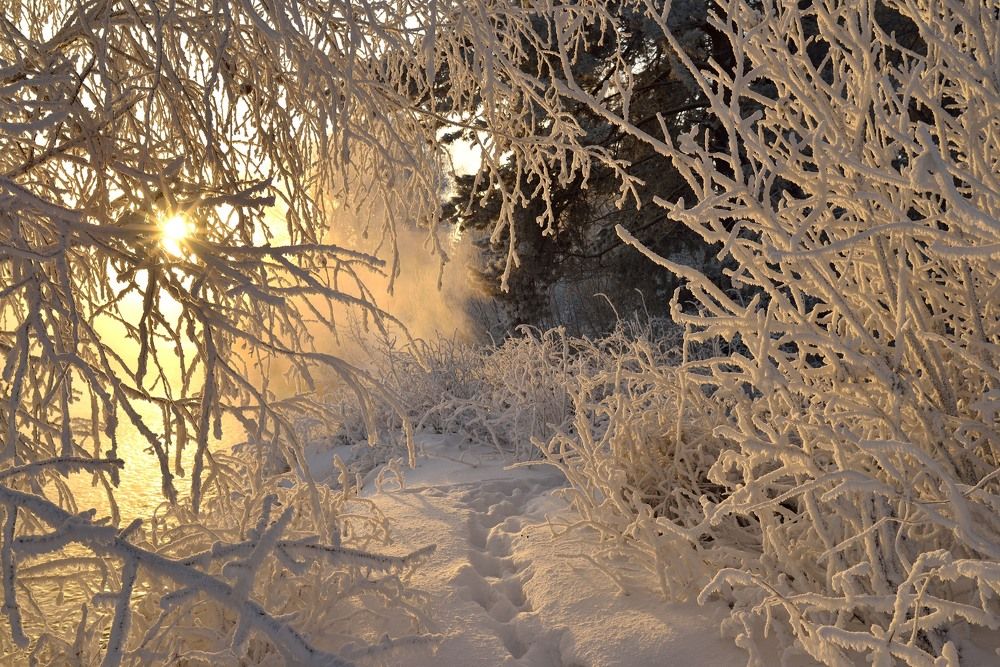 Photograph by Павел Фёдоров