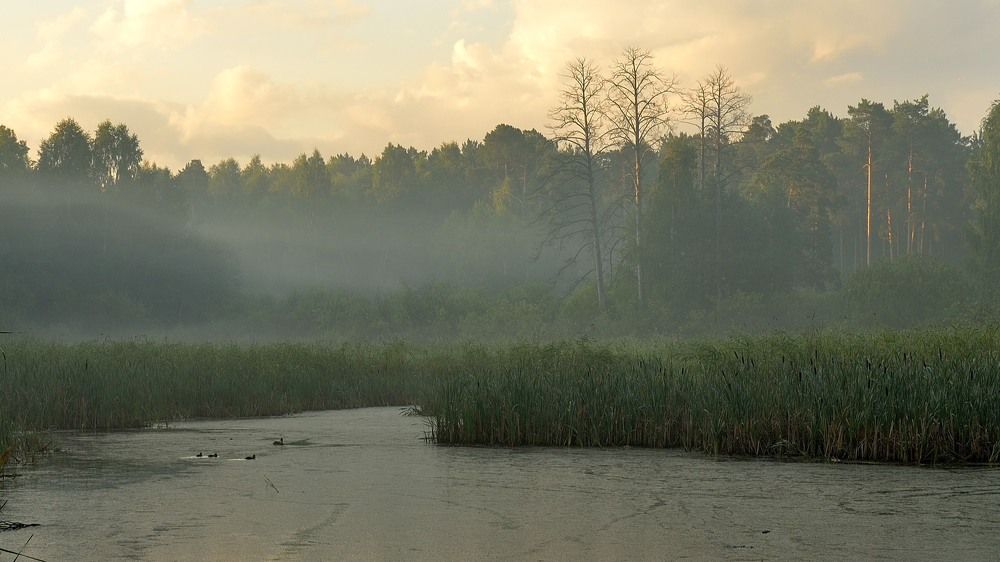 Photograph by Павел Фёдоров