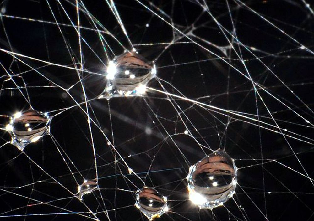 Photograph by Павел Бутенко