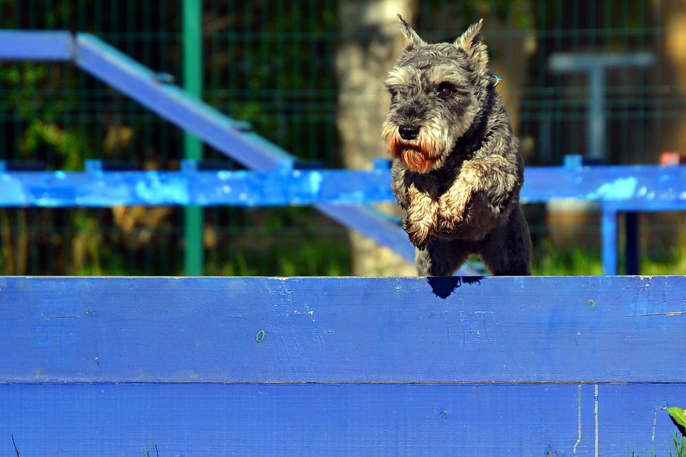 Photograph by Дмитрий Волков