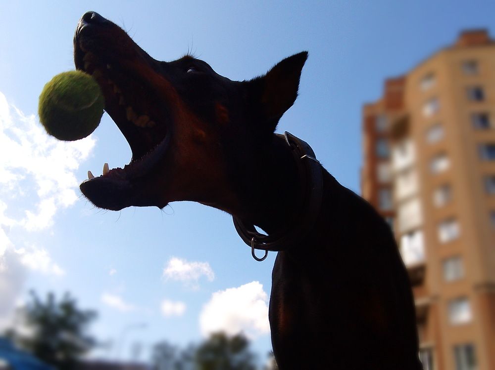 Photograph by Дмитрий Волков