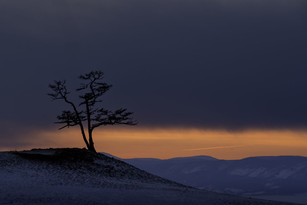 Фотография автора Марина Лукьянова