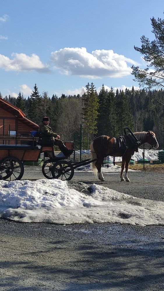 Photograph by Ирина Подлубная