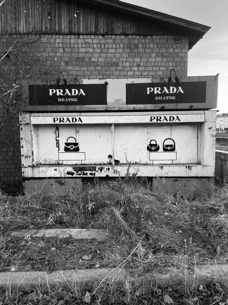 Photograph by Василиса Шуева