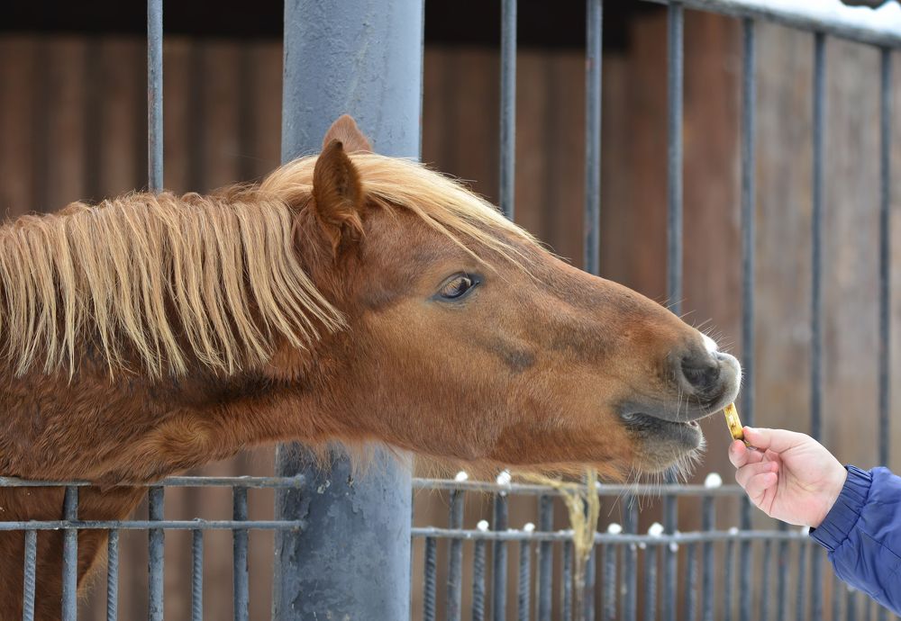 Photograph by Владислав Кравцов