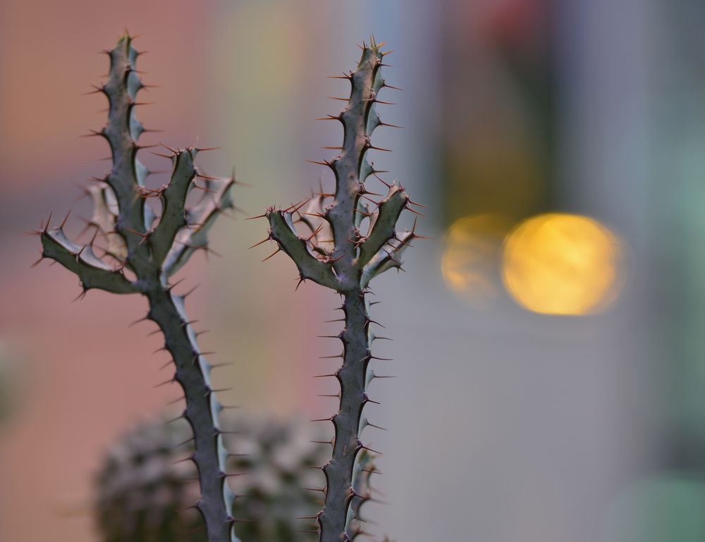 Photograph by Владислав Кравцов