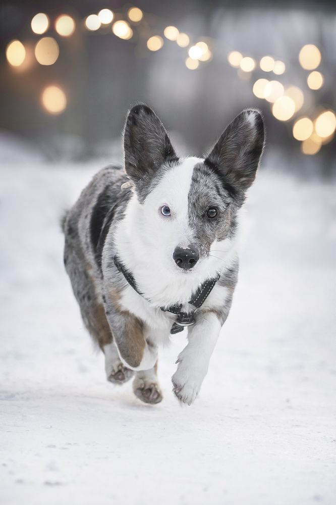 Photograph by Александра Пугачёва