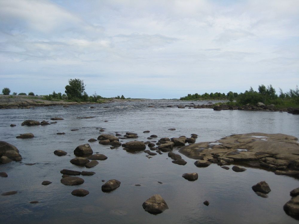 Photo #9994165