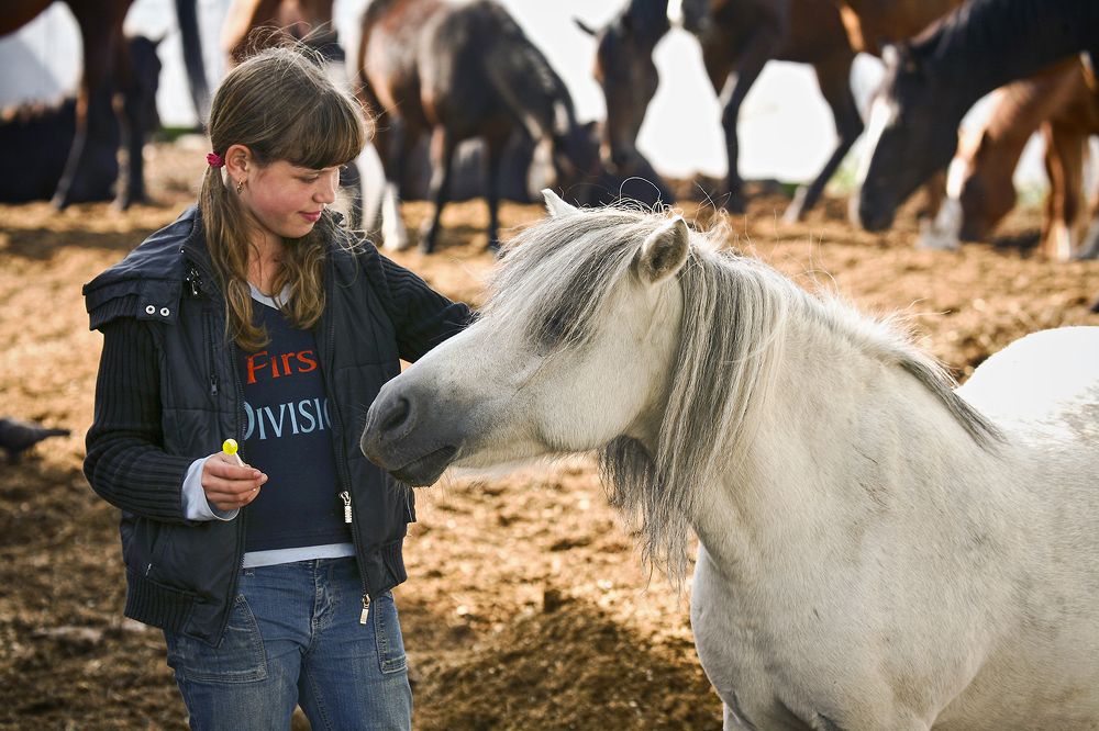 Фотография автора Сергей Черных
