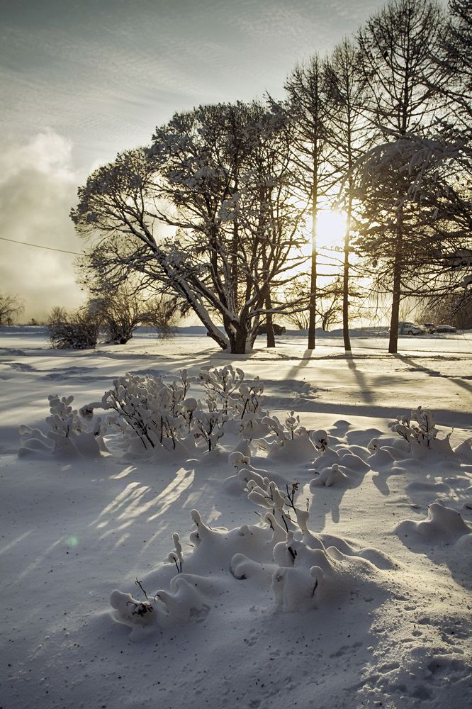 Photograph by Сергей Черных