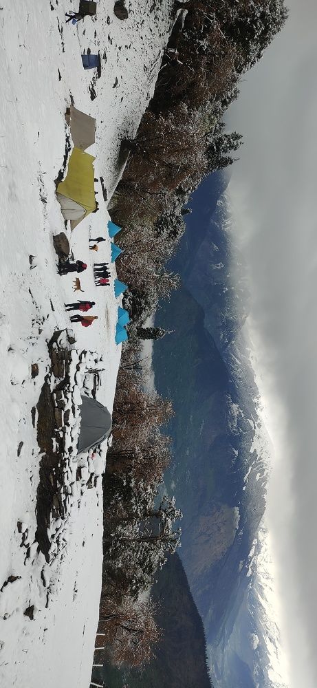 Photo #9994198