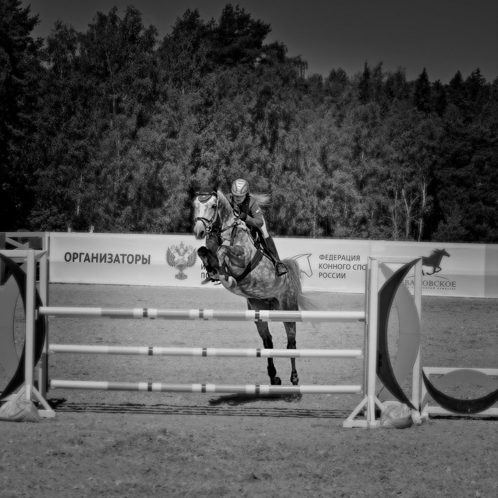 Photograph by Дмитрий Плотников