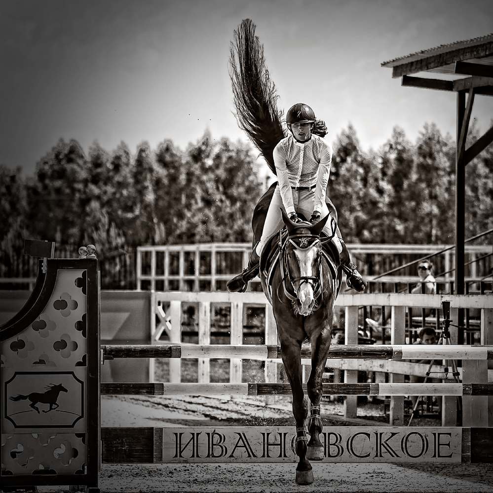 Photograph by Дмитрий Плотников