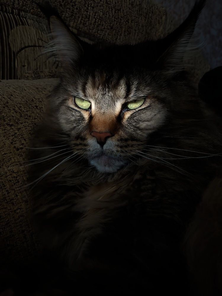 Photograph by Анастасия