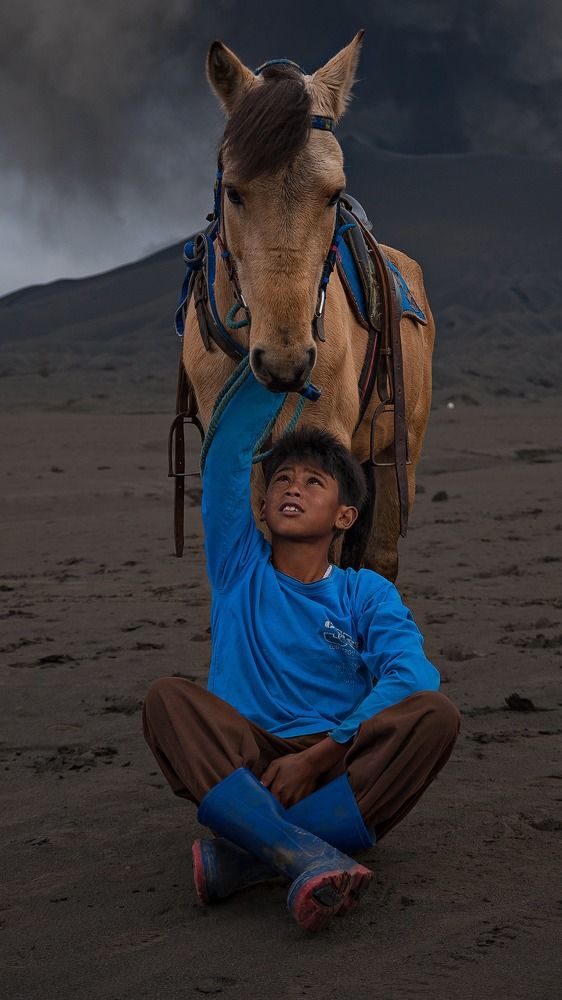 Photograph by Hamed Shahrokhi