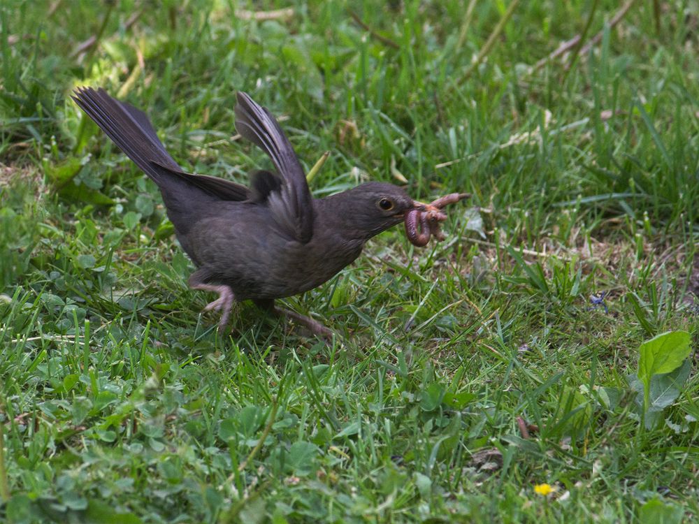 Фотография автора Борис Журавлёв