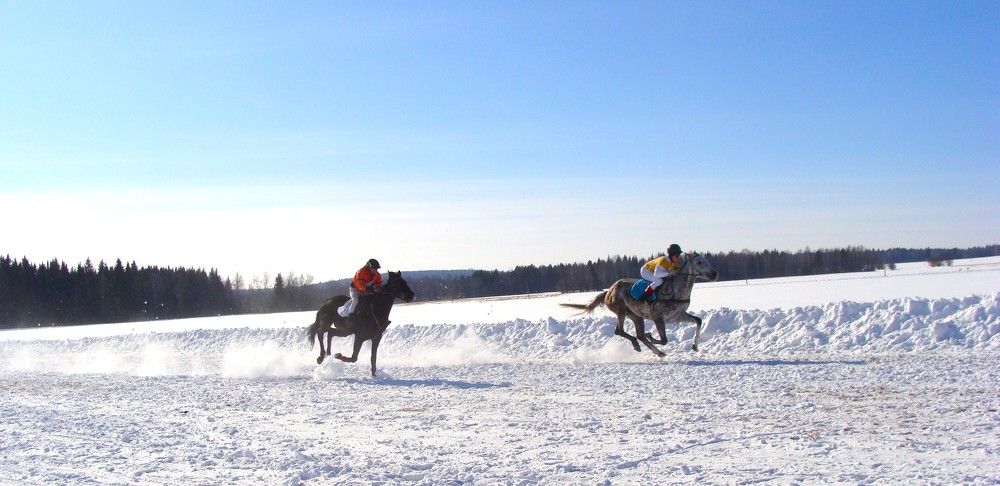 Photograph by Николай Худяков