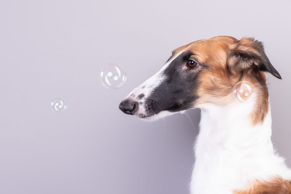 Photograph by наталья залогина