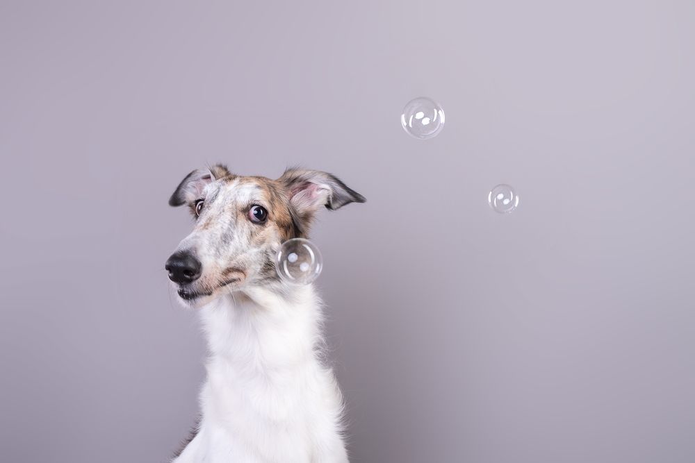 Photograph by наталья залогина