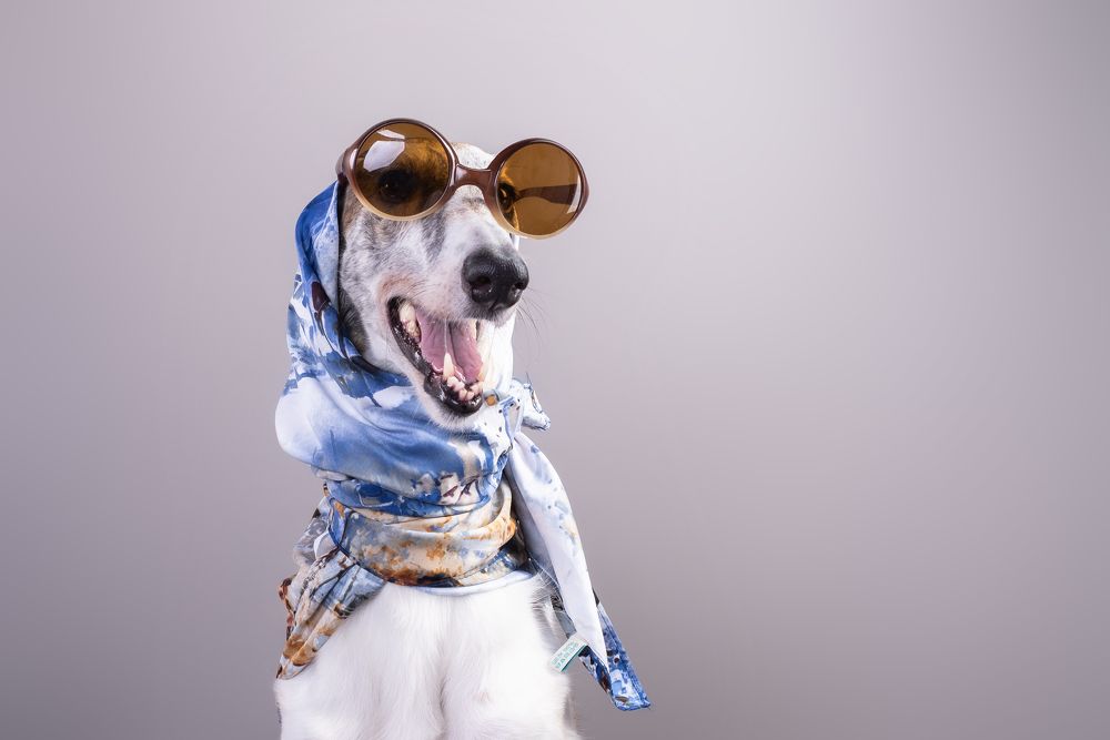 Photograph by наталья залогина