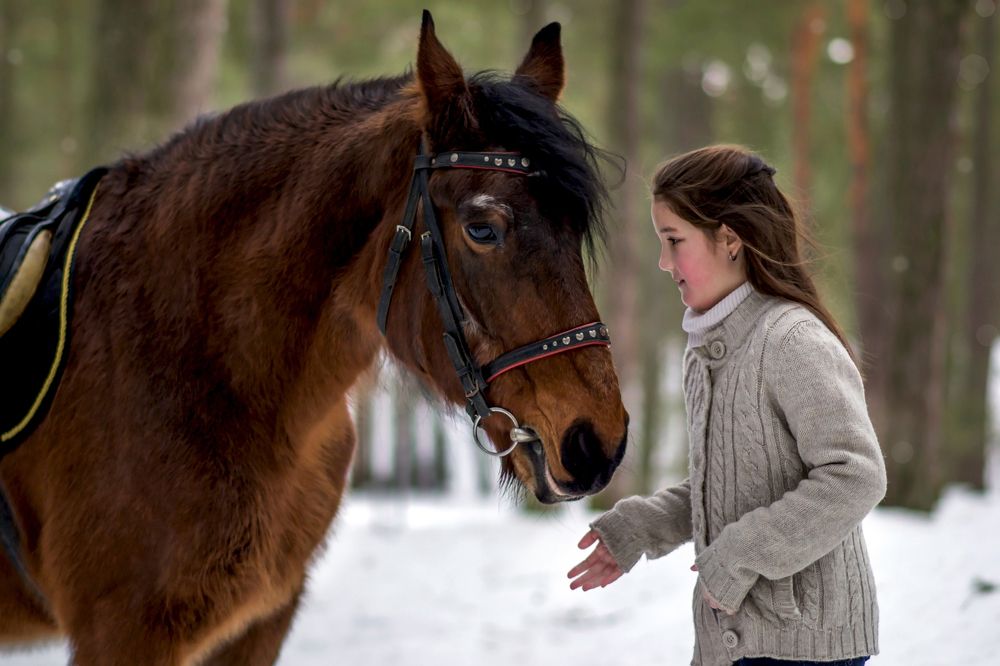 Photograph by Olga Min