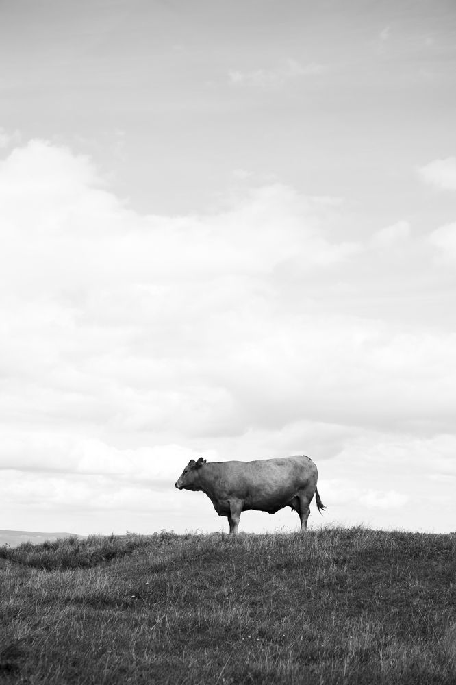 Photograph by Alena Shalai