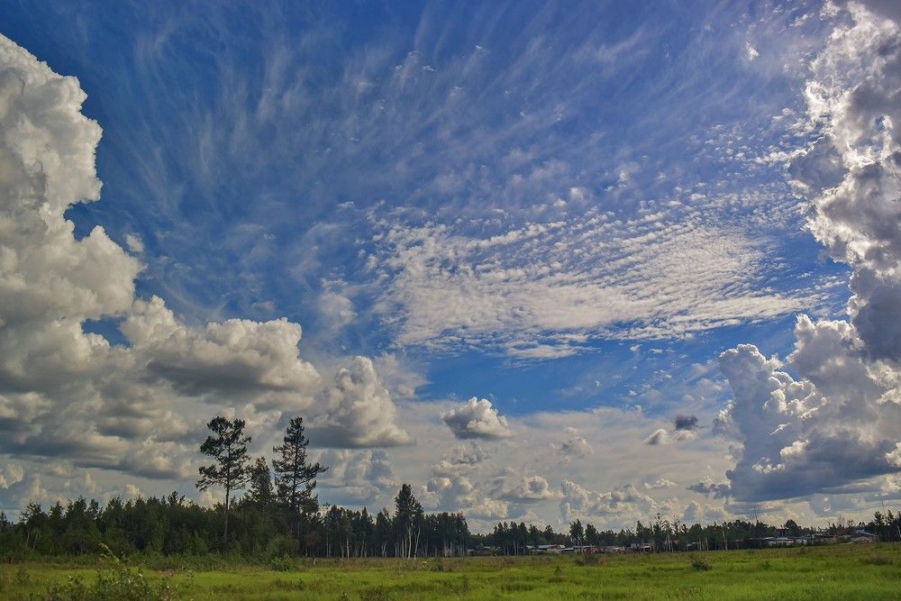 Июльская красота