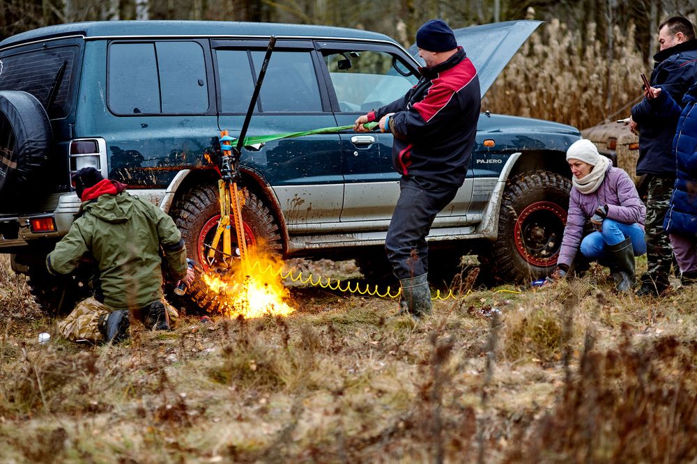 Фотография автора Totoro D