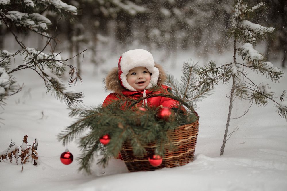 Photograph by Васильев Владимир