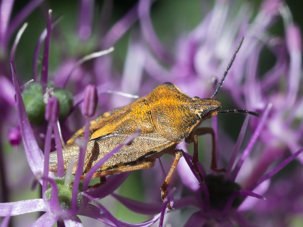 Фотография автора Борис Журавлёв