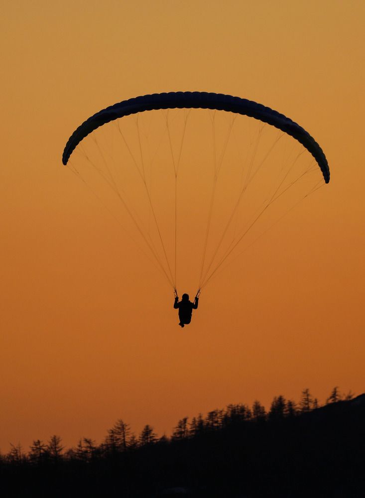 Вечерний полёт