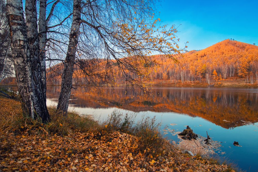 Осень золотая.