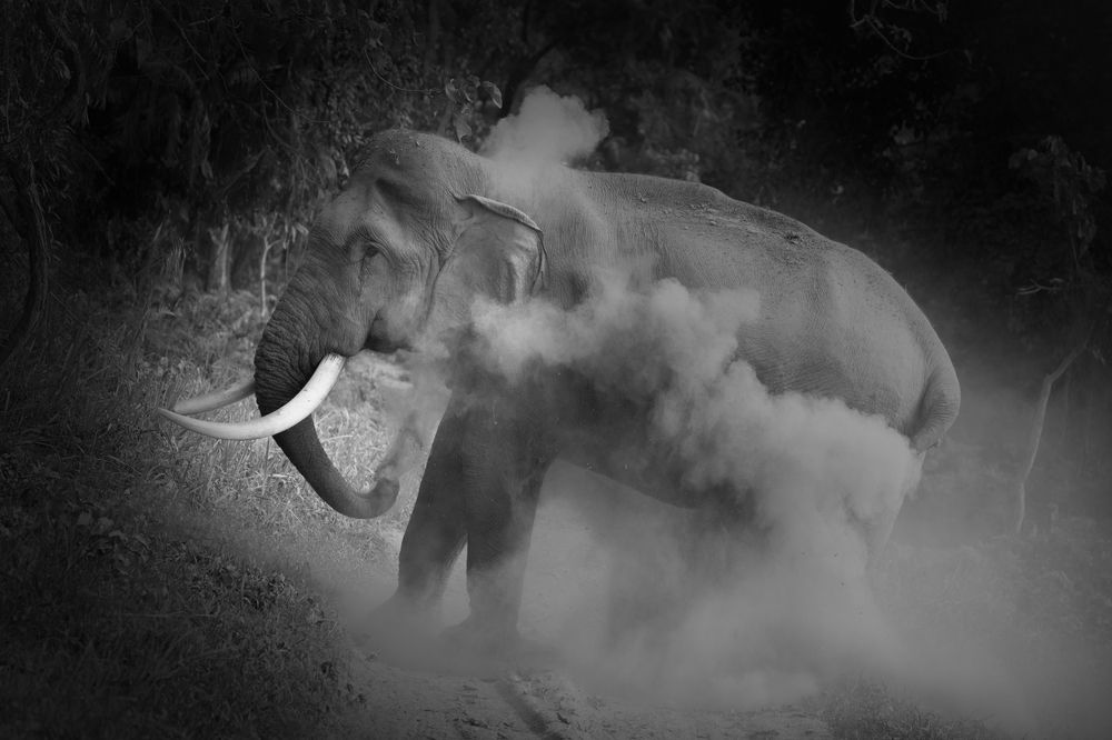 Photograph by Ritika Furtado Sharma