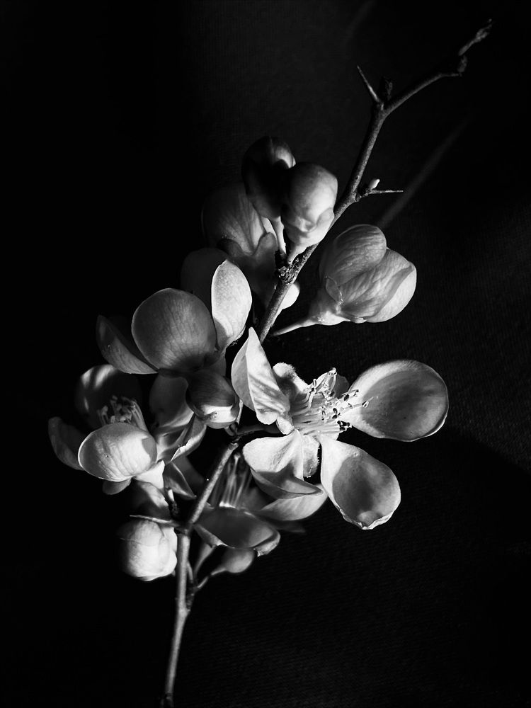 Фотография автора Рамзия Хисамутдинова