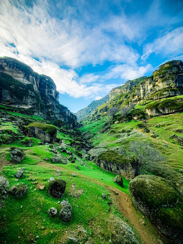 Photograph by Reza sharbaf