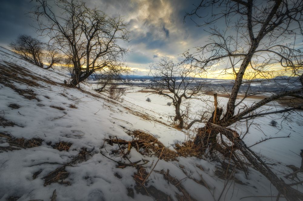 Photograph by Орнатский Александр