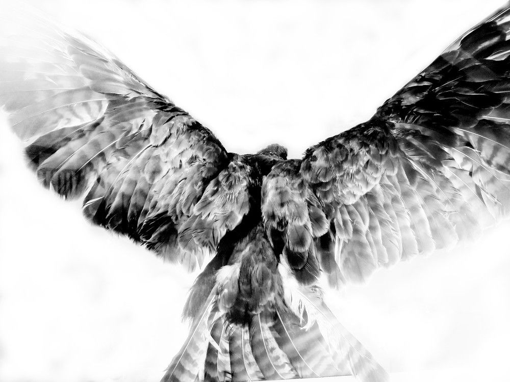 Лети к мечте