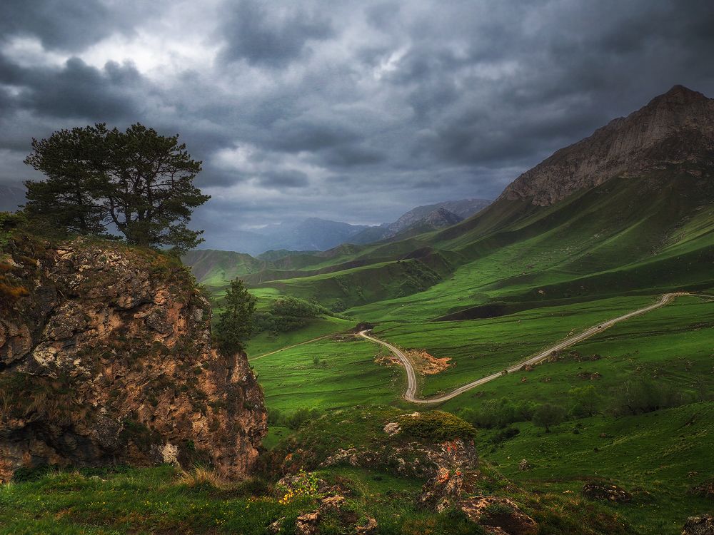 Photograph by Галина Хвостенко