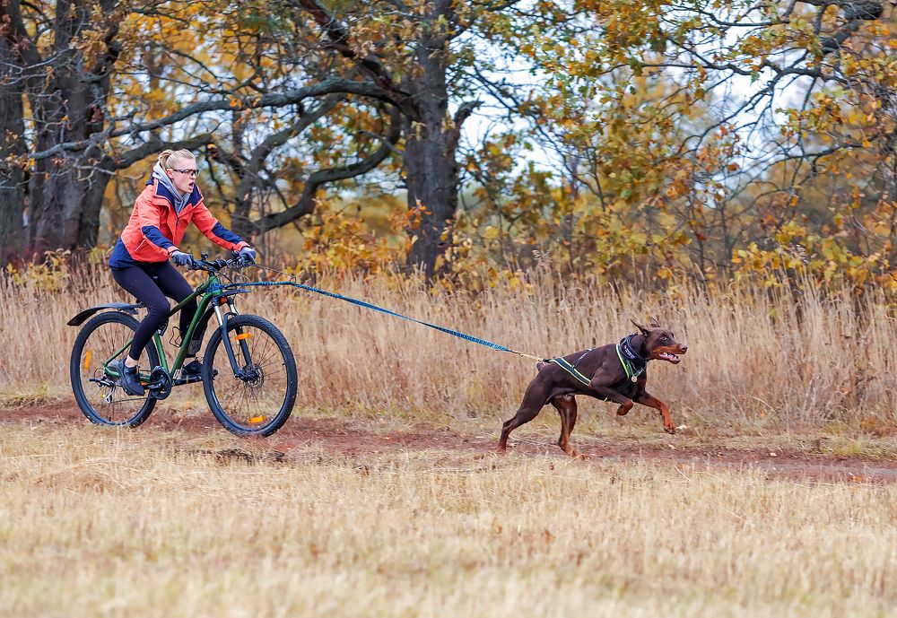 Фотография автора Yulia  Maximova